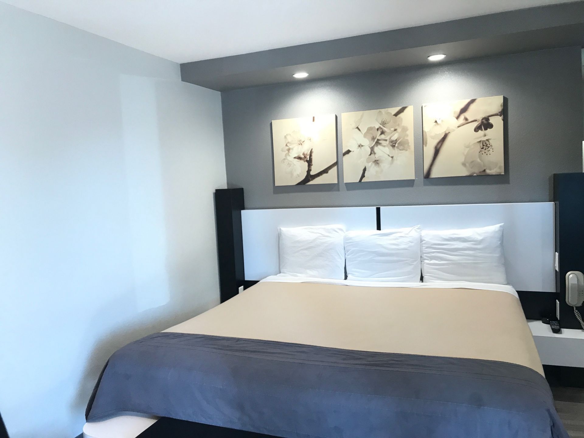 Room View