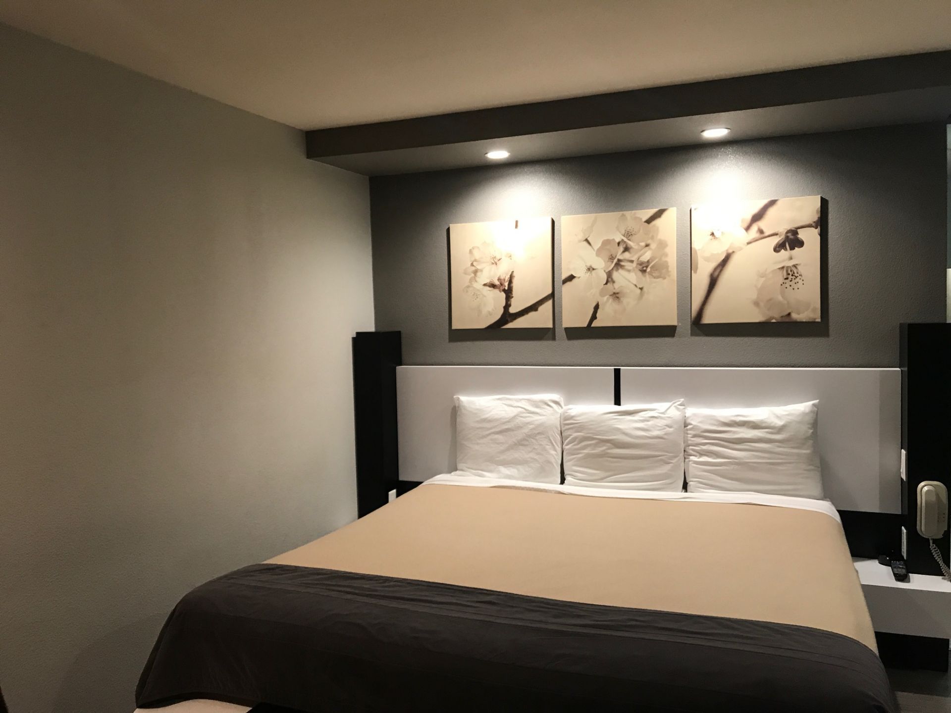 Room View